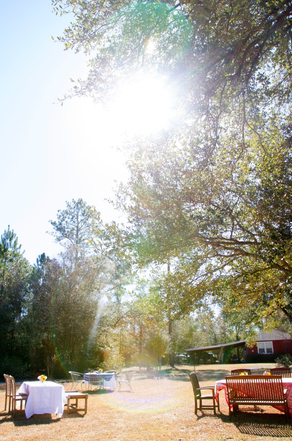 Sydnie_Jared_Pig_Roast_014new