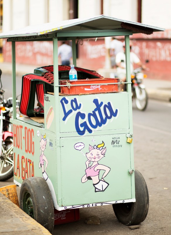 LEON_NICARAGUA_2014_056