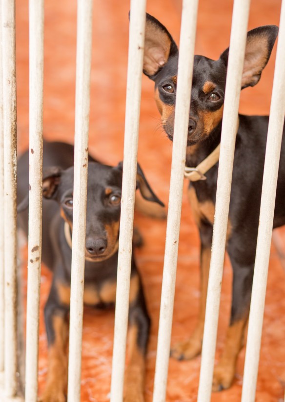 LEON_NICARAGUA_2014_130