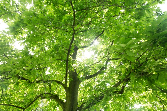 LONDON_IMPRESSIONS_026