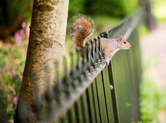 LONDON_IMPRESSIONS_047