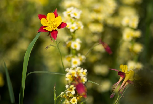 LONDON_IMPRESSIONS_055