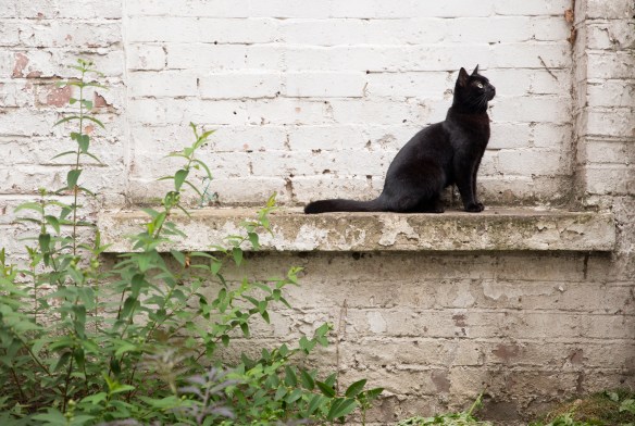 LONDON_IMPRESSIONS_064