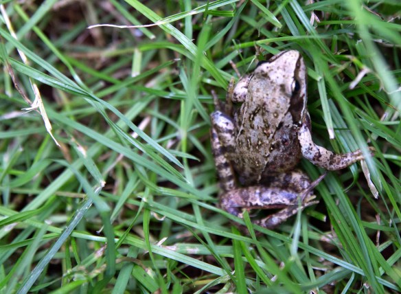 LONDON_IMPRESSIONS_068