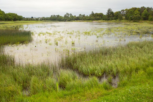 IRELAND_FAMILY_300small
