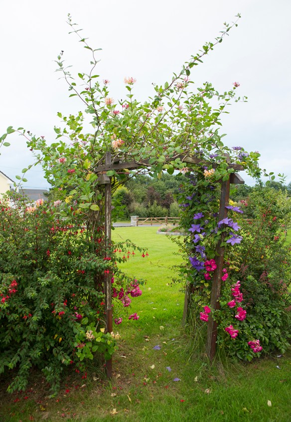 IRELAND_FAMILY_306small