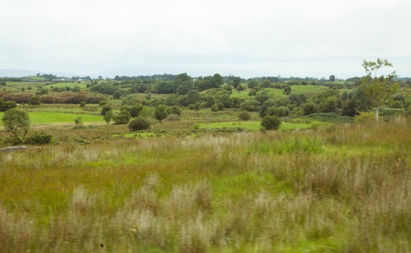IRELAND_FAMILY_319small