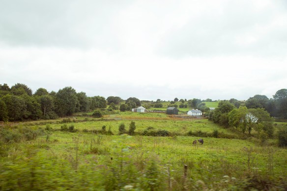 IRELAND_FAMILY_320small