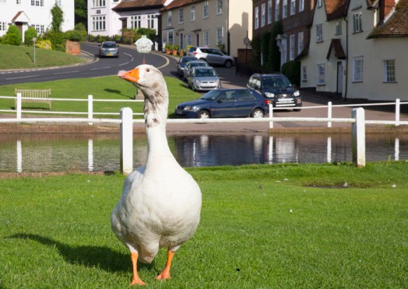 castle_headingham_039