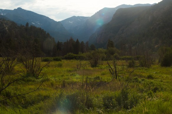 RMNP with Minx 00001