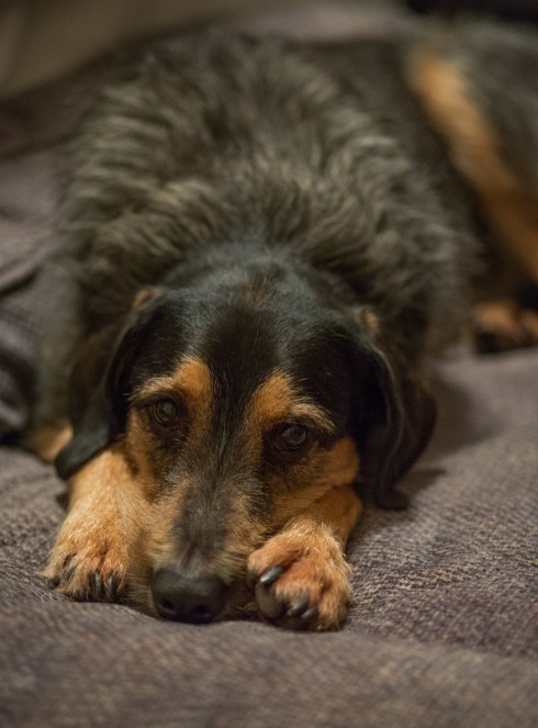 EastCoastTravels 01418Harris&amp;Margo