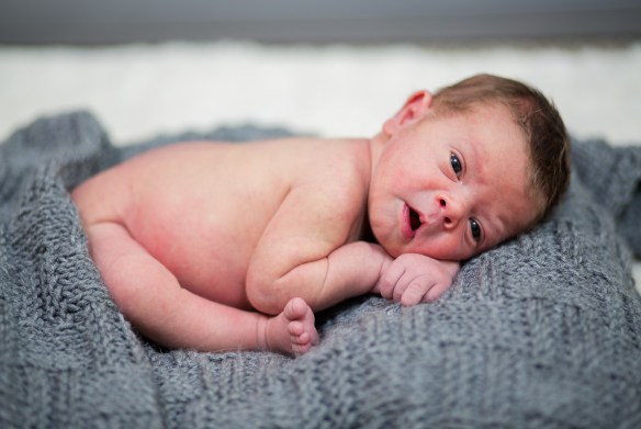 Calvin 02776-EditCalvin