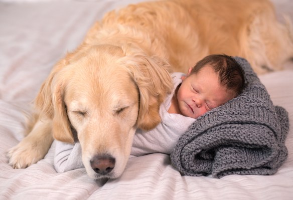 Calvin 02945-EditCalvin