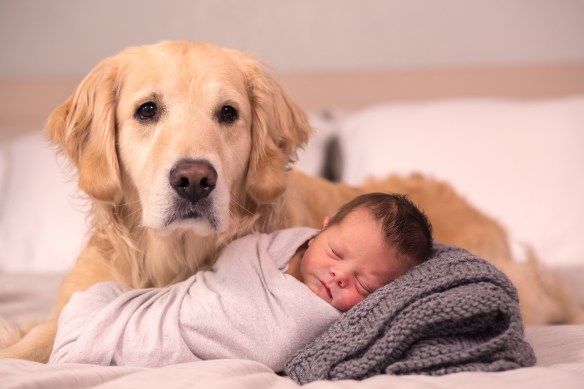 Calvin 02956-EditCalvin