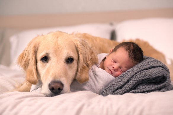 Calvin 02968-EditCalvin