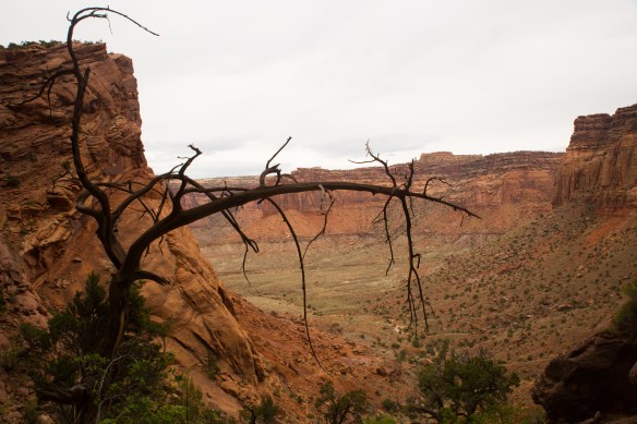 CanyonlandsArches 06242Arches and Canyonlands