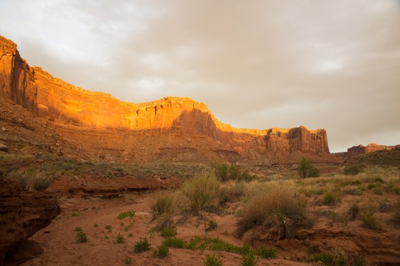 CanyonlandsArches 06289Arches and Canyonlands