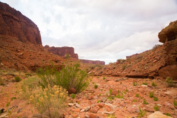 CanyonlandsArches 06297Arches and Canyonlands