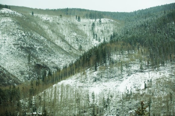CanyonlandsArches 06615Arches and Canyonlands