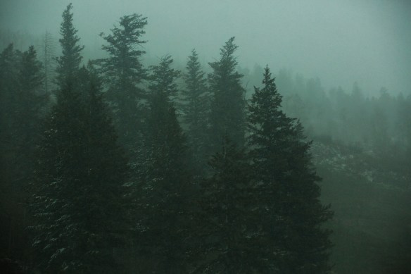 CanyonlandsArches 06622Arches and Canyonlands
