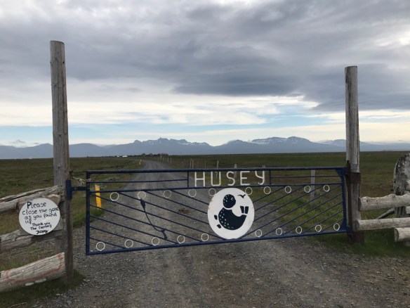 UNADJUSTEDNONRAW_thumb_d225